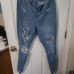 American Eagle Outfitters Light Blue Distressed Skinny Jeans